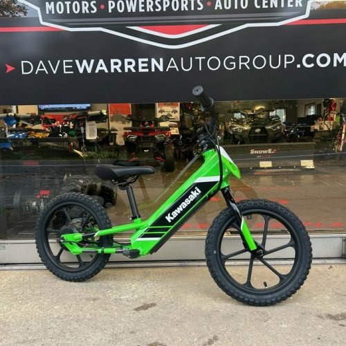 2025 Kawasaki Elektrode 16