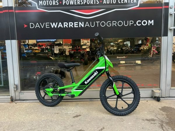 2025 Kawasaki Elektrode 16