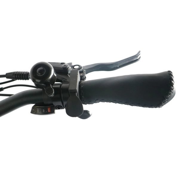 Coastal Cruiser Step Thru Mini 20×4 52V/17Ah 750W Electric Bike