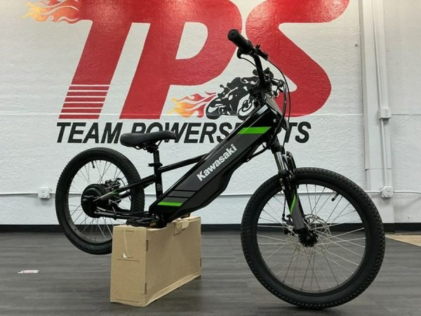 2025 Kawasaki Elektrode 20