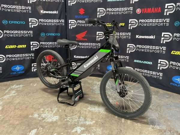 2025 Kawasaki Elektrode 20