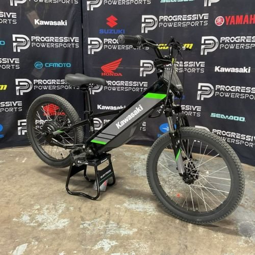2025 Kawasaki Elektrode 20