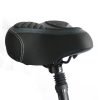 Coastal Cruiser Step Thru Mini 20×4 52V/17Ah 750W Electric Bike