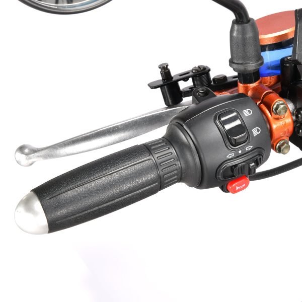 9_e37e919f-7941-4a50-bf3e-76101c6e46c8 SoverSky T7.4 60V/40Ah 4000W Electric Swing Trike