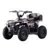 Droyd Animal 36V/8Ah 500W Electric ATV