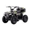 Droyd Animal 36V/8Ah 500W Electric ATV
