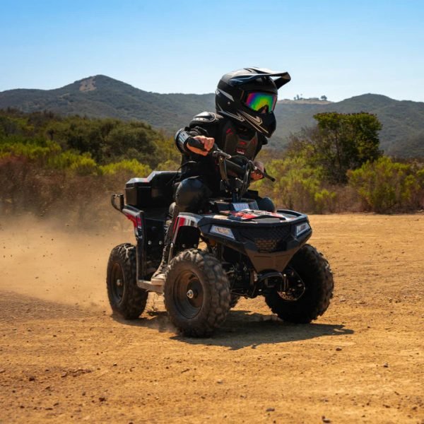 Droyd Animal 36V/8Ah 500W Electric ATV