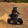 Droyd Animal 36V/8Ah 500W Electric ATV