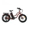 Coastal Cruiser Step Thru 24×3 52V/17Ah 750W Electric Bike