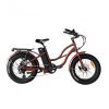 Coastal Cruiser Step Thru Mini 20×4 52V/17Ah 750W Electric Bike
