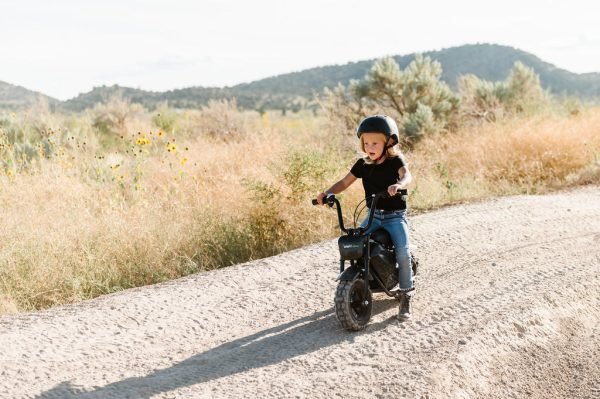 CHP_3508 Drift Hero 24V/9Ah 250W Mini Bike