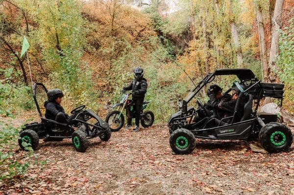 CHP_5673 Drift Hero 60V/20Ah 2000W Electric Go-Kart (2 Seats)