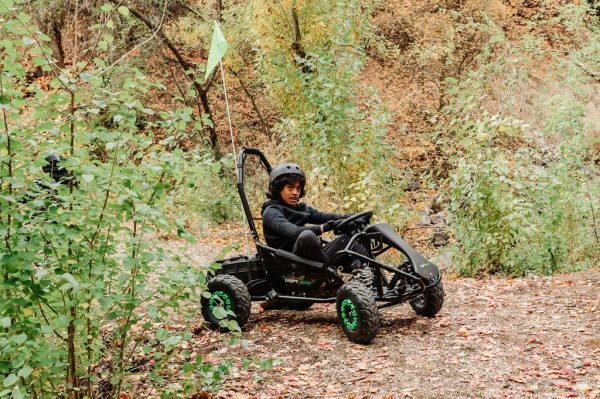 CHP_5678 Drift Hero 48V/20Ah 1000W Electric Go-Kart (1 Seat)