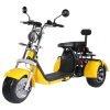 Shansu CP-3 60V/40Ah 2000W Electric Trike Scooter