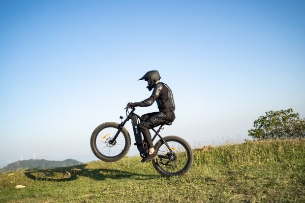 DSC00110 DYU King 750 48V/20Ah 750W Fat Tire Electric Bike