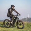 DSC00195 DYU King 750 48V/20Ah 750W Fat Tire Electric Bike