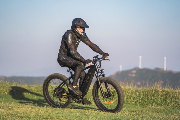 DSC00195 DYU King 750 48V/20Ah 750W Fat Tire Electric Bike