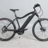 DWMEIGI DW7610 36V/10Ah 350W Electric Mountain Bike
