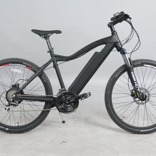 DWMEIGI DW7610 36V/10Ah 350W Electric Mountain Bike