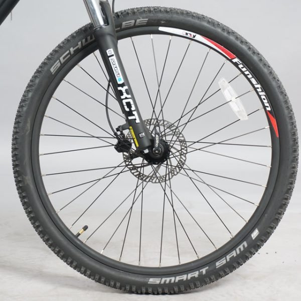DWMEIGI DW7610 36V/10Ah 350W Electric Mountain Bike