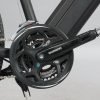DWMEIGI DW7610 36V/10Ah 350W Electric Mountain Bike
