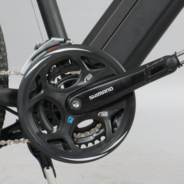 DWMEIGI DW7610 36V/10Ah 350W Electric Mountain Bike