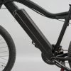 DWMEIGI DW7610 36V/10Ah 350W Electric Mountain Bike