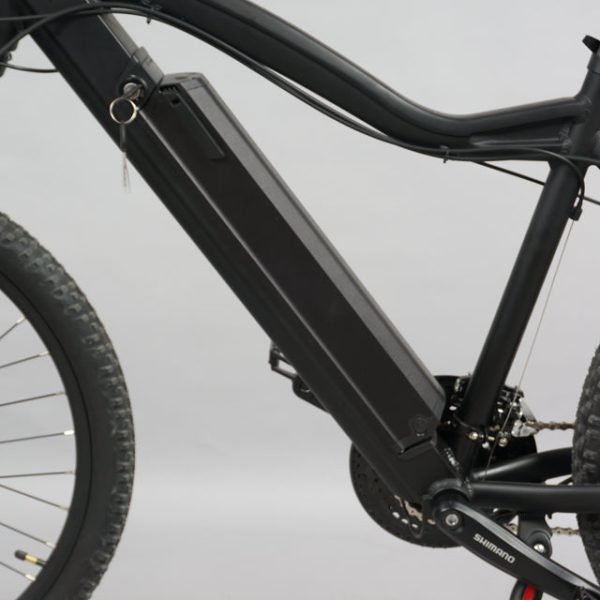 DWMEIGI DW7610 36V/10Ah 350W Electric Mountain Bike