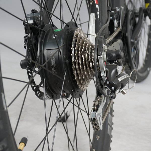 DWMEIGI DW7610 36V/10Ah 350W Electric Mountain Bike