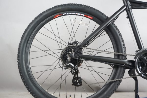 DWMEIGI DW7610 36V/10Ah 350W Electric Mountain Bike