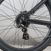 DWMEIGI DW7610 36V/10Ah 350W Electric Mountain Bike
