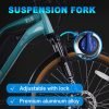 DWMEIGI Hestia 48V/13Ah 750W Electric Bike