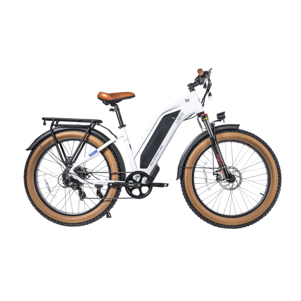 DSC08688_2copy DWMEIGI Artemis 48V/16Ah 750W Fat Tire Electric Bike