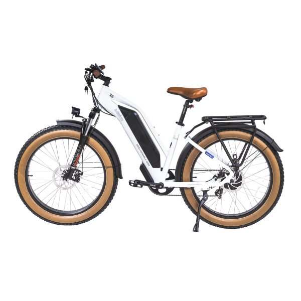DSC08699_2copy DWMEIGI Artemis 48V/16Ah 750W Fat Tire Electric Bike