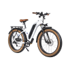 DSC08717_2copy DWMEIGI Artemis 48V/16Ah 750W Fat Tire Electric Bike