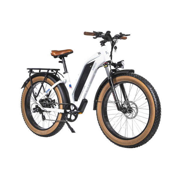 DSC08717_2copy DWMEIGI Artemis 48V/16Ah 750W Fat Tire Electric Bike