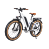 DSC08723_2copy DWMEIGI Artemis 48V/16Ah 750W Fat Tire Electric Bike