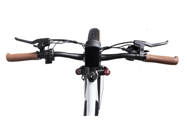 DSC09025-scaled-1 DWMEIGI Artemis 48V/16Ah 750W Fat Tire Electric Bike