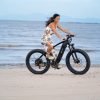 DSC09756 DYU King 750 48V/20Ah 750W Fat Tire Electric Bike