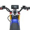 Droyd Berzerker 48V/30Ah 3000W Off-Road Electric Dirt Bike