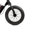 DroydBlipper_10_31b95161-b28d-40a7-b4b4-7889b774c0d6-scaled-1 Droyd Blipper 24V/10Ah 250W Kids Electric Balance Bike