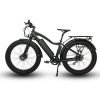 EUNORAU FAT-AWD 48V 15.6Ah/25Ah 600W All Wheel Drive Fat Tire Electric Bike