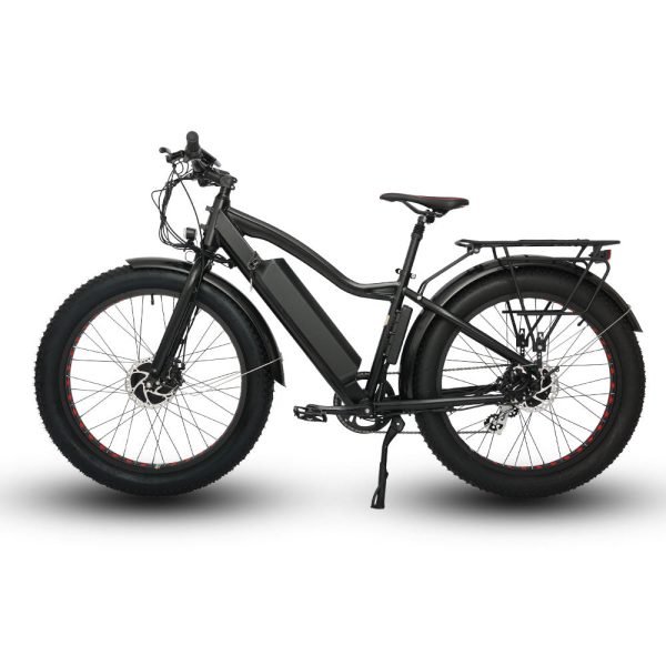 EUNORAU FAT-AWD 48V 15.6Ah/25Ah 600W All Wheel Drive Fat Tire Electric Bike