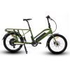 Eunorau-Max-Cargo-Green-Electric-Bikes_1800x1800_39e83fc1-2e4c-4f76-92b5-df325b6f9a37 EUNORAU MAX-CARGO 48V/11.6Ah 750W Dual Battery Electric Cargo Bike