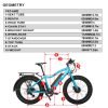 EUNORAU FAT-AWD 48V 15.6Ah/25Ah 600W All Wheel Drive Fat Tire Electric Bike