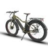 EUNORAU FAT-AWD 48V 15.6Ah/25Ah 600W All Wheel Drive Fat Tire Electric Bike