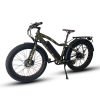 EUNORAU FAT-AWD 48V 15.6Ah/25Ah 600W All Wheel Drive Fat Tire Electric Bike