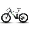 2 x EUNORAU FAT-HS 48V/14Ah 1000W Fat Tire Electric Mountain Bike
