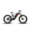 2 x EUNORAU FAT-HS 48V/14Ah 1000W Fat Tire Electric Mountain Bike