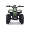 Droyd Fury 36V/8Ah 500W Kids Electric ATV